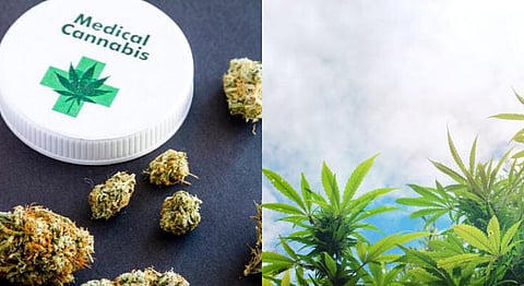 India’s First Medical Cannabis-Based Clinic HempCann Solutions Has Opened In Bangalore