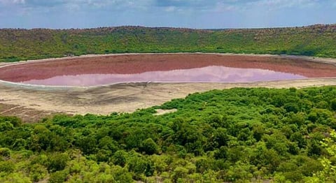 Maharashtra's 50,000 Year Old Lonar Lake Turns Pink Amidst Lockdown
