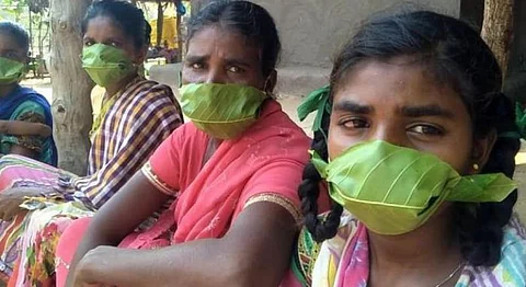 Masks Made Of Medicinal Leaves Save An Indian Tribe From Covid-19 Virus 