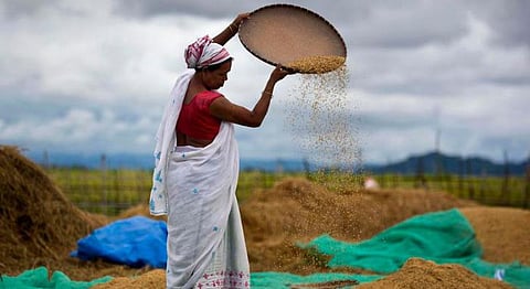 Farmers’ Bills 2020: Why Are Farmers Protesting & What Do These Bills Mean To Us?