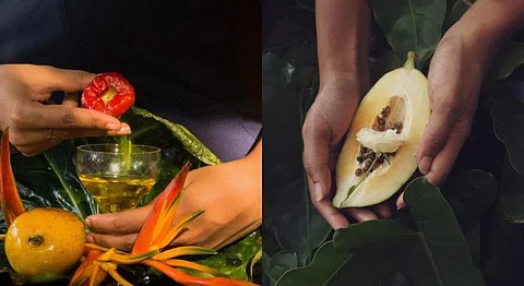 How A Kochi-Based Artist Is Reimagining The ‘Ordinary' Through Her Art