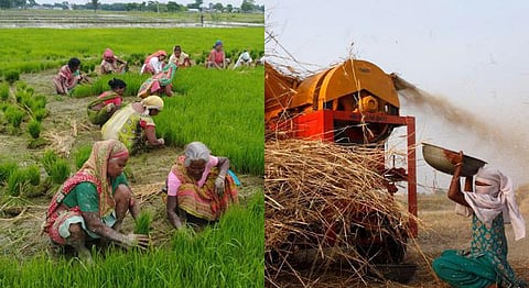 Tech For Good: Explore Innovative Agri-Tech Startup Ideas At Manush Labs Demo Day