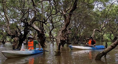 Taking A Break From Goa's Beaches: Terra Conscious Shows You What Lies Beyond