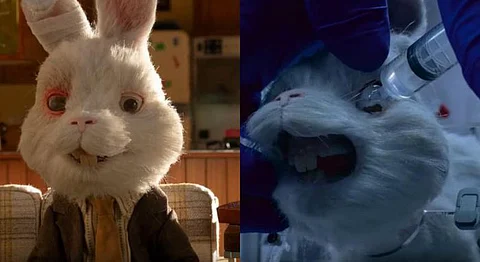 Watch 'Save Ralph' To Understand The Gross Cruelty Of Animal Testing