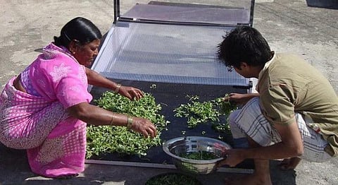 Mumbai Startup's Solar Dryer Helps Farmers By Increasing Shelf Life & Income
