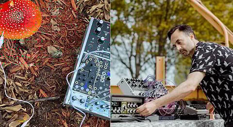 Meet The Homegrown Musician Creating Music From Mushrooms