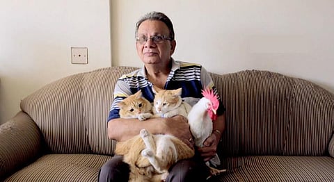 India & Satire: 3 Incisive Homegrown Films That Lead The Way