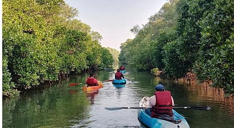 Experience These Customised & Offbeat Travel Experiences in Goa On Your Next Trip