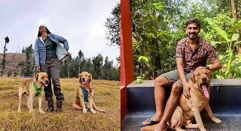 Wheels & Tails: On Travelling With Pets Around India & Making Memories