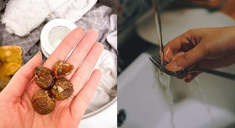 Promoting Practiced Sustainability: Himalayan Soap Nuts Are Nature’s Detergent