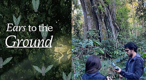 An Interactive Website That Explores The Western Ghats Through Sound