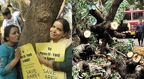 Nature Vs Nurture: Join These Organisations In Their Fight To Save Aarey