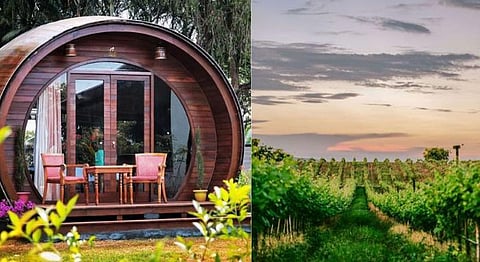 A Homegrown Guide To India’s Best Vineyards