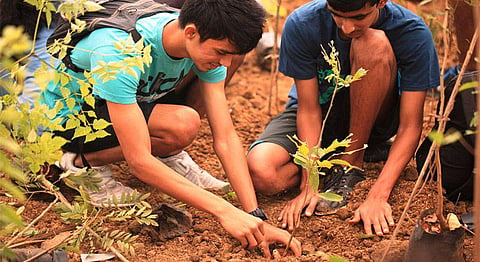 Meet The Six Young Indians Blazing A Trail To Make Bangalore Green Again