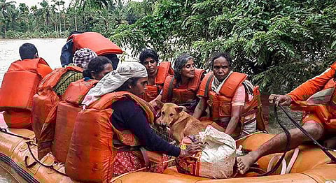 Animals Affected By Kerala Floods — What’s Being Done And How You Can Help