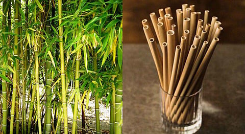 Using Bamboo From The Andamans To Make Eco-Friendly Alternatives To Plastic Straws