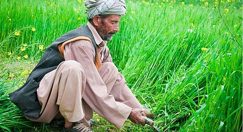 Representational Image