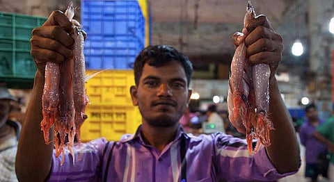 A fisherman holding Bombay Ducks in his hands at the Mumbai Fish Market