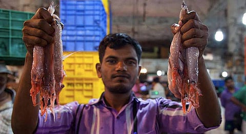 The Bombay Duck’s Gutsy Journey From The Sea To Our Dining Tables