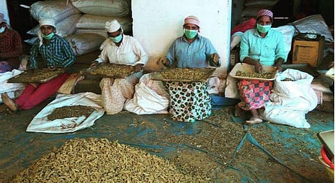 Cafe Zoe’s New Farmer’s Market Promises Fresh, Local Produce Only