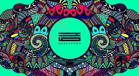 #HGArtProject 018: Vrushali Somavanshi