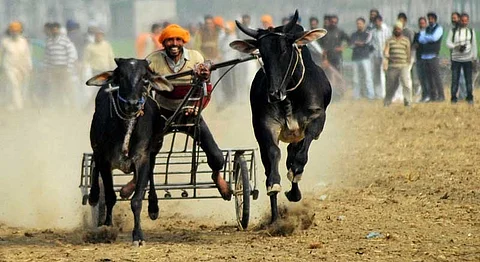 In Pictures: 10 Things We Learned From India's Rural Olympics