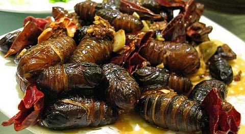 Snail Stew & Red Ant Chutney. India's Weirdest Foods Are...Weird.