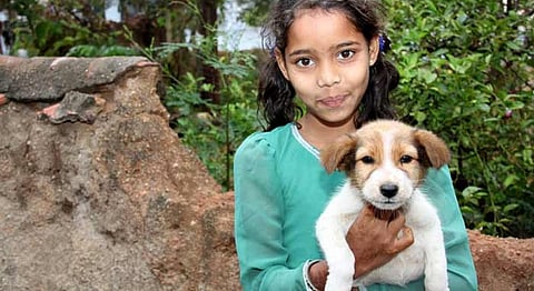 Government Schools To Now Teach Children Compassion Towards Animals In India