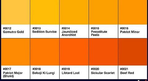 Art Of Dissent That Satirises & Supports JNU, Soni Suri & Vemula