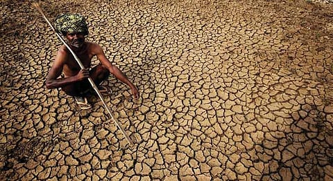 Can We Really Afford To Waste 70 Lakh Litres Of Water On IPL In Drought-Stricken Maharashtra?