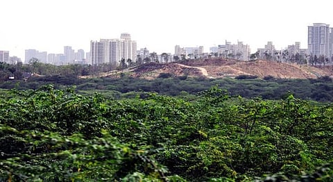 How Villagers Saved The Mangar Bani Forest Outside Polluted Delhi