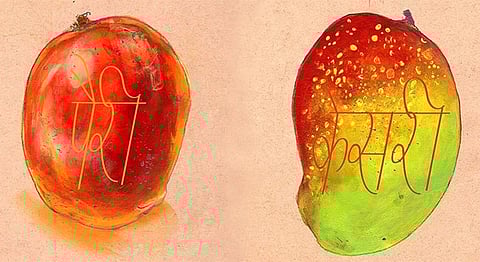 Biting Into Ipshita Thakur's Beautiful 'Mangoes As I Eat Them' Illustrations