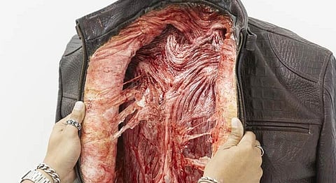 Watch: PETA's New Ad Campaign Is Both Nightmarish & Brilliant