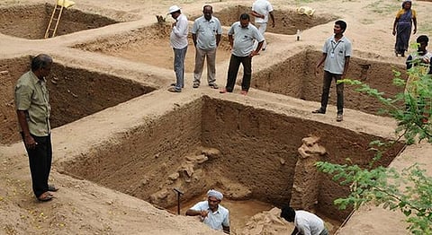 3000-Year-Old Harappa Like Settlement Unearthed At A Coconut Farm In Tamil Nadu