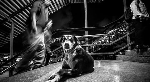 #100DaysOfBombayByMehi: Exploring A Love-Hate Relationship With Mumbai Through Photographs