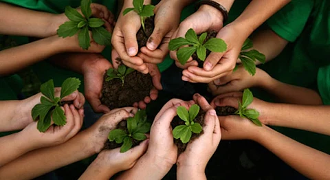85,000 Telangana Citizens Will Join A Mass Plantation Drive To Make Their State Greener Today