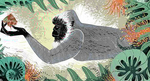 Ramayana For Children: Stunning Illustrations By Sonali Zohra For A Tale Retold By Arshia Sattar