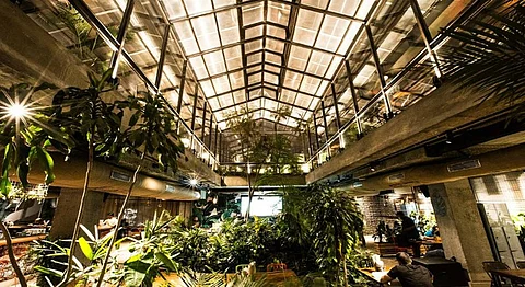 First Look: Koramangala's New Social Is A Jungle Paradise Meets Workspace