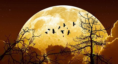 Don't Miss Tonight's Supermoon, It's The Largest Of The 21st Century