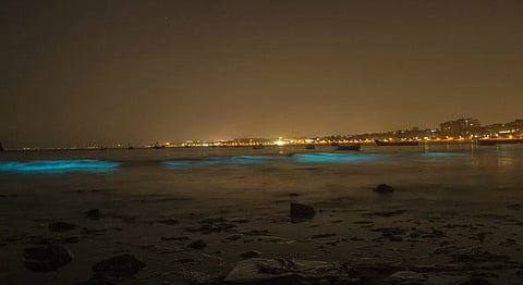 Head To Juhu Beach Tonight To Witness Magical Bioluminescent Waves!