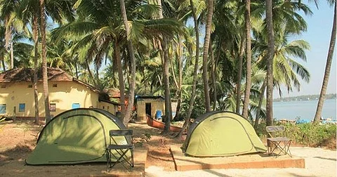 TEST Camp under the stars this weekend with White Collar Hippie
