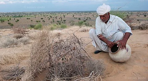 How A 70-Year-Old Man Grew A Forest In A Rajasthani Desert