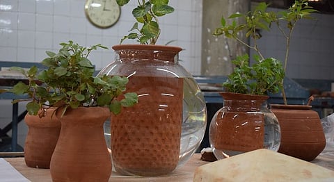 An NID Graduate Has Invented A Self-Watering Mechanism For Plants