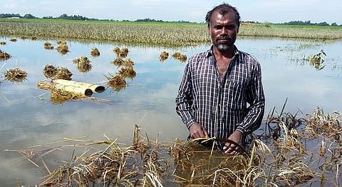 Representational Image