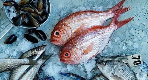 This Monsoon, Let This Calendar Help You Eat Fish Sustainably