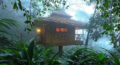 Kerala’s Beautiful Vanya Treehouse Is The Perfect Monsoon Vacation Spot