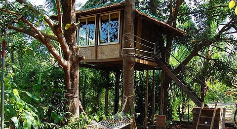 Atithi Parinay Tree House