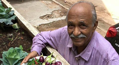 Bangalore, Grow Your Own Terrace Garden With The Help Of This NGO
