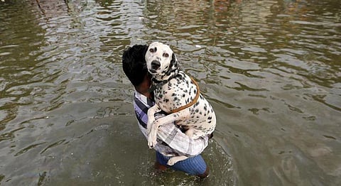 Representational Image