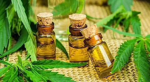 We Spoke To 4 Indians Who Are Using Cannabis Oil As Medicine